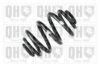 BMW 33531096191 Coil Spring